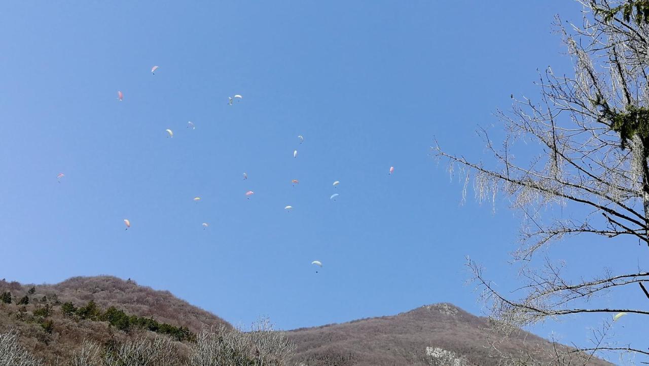 CruetLa Gravinette住宿加早餐旅馆 外观 照片